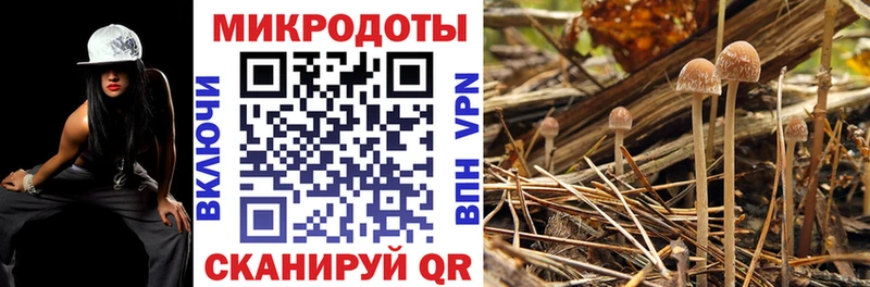 магазин продажи наркотиков  гидра рабочий сайт  Псилоцибиновые грибы Psilocybine cubensis  Новопавловск 